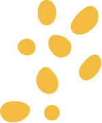 Groupe-229