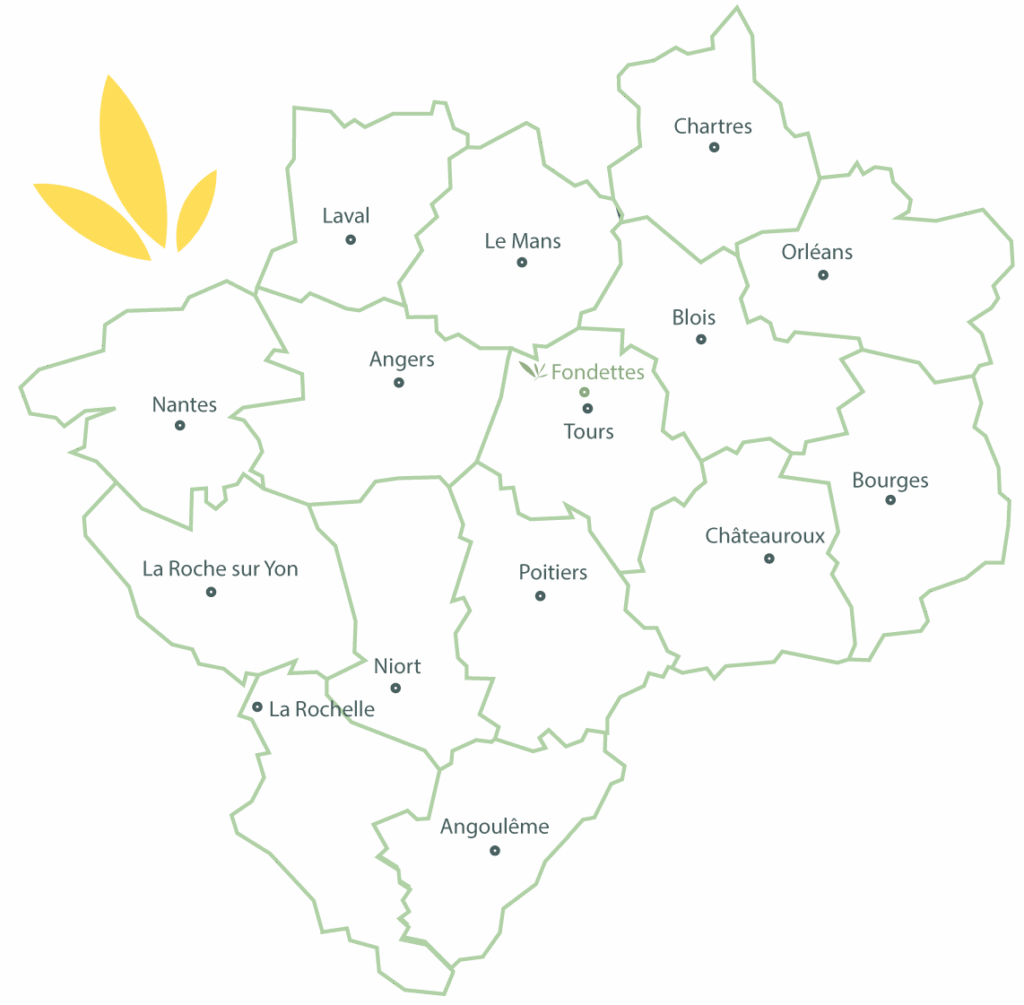 departements-Valeurs-Culinaires-octobre-2025-contours-vert-clair-et-feuille-jaune-fond-blanc-1024x1005