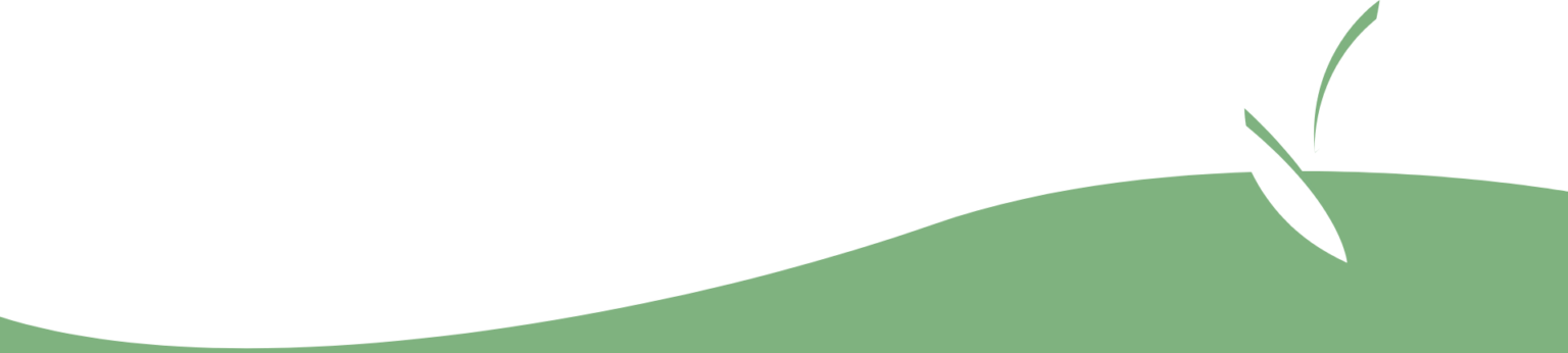 bgslider-1536x346